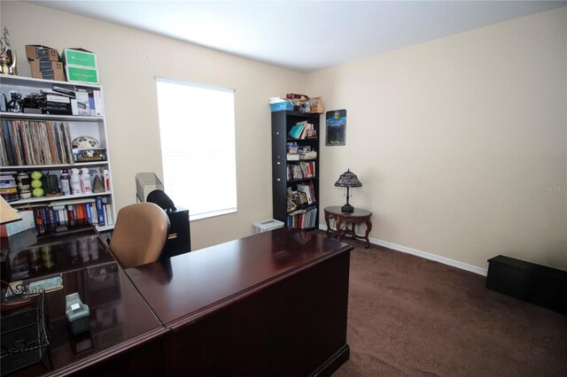 29650 Eagle Station Dr, Wesley Chapel, FL 33543 - photo 18