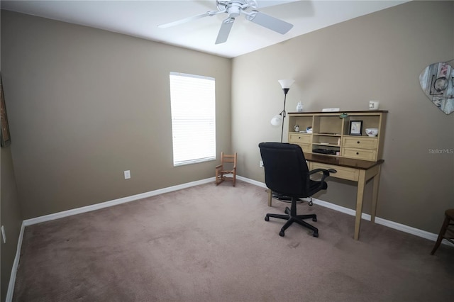 29650 Eagle Station Dr, Wesley Chapel, FL 33543 - photo 26