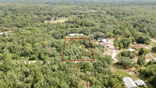 34001 Long Cir, Webster, FL 33597 - photo 1