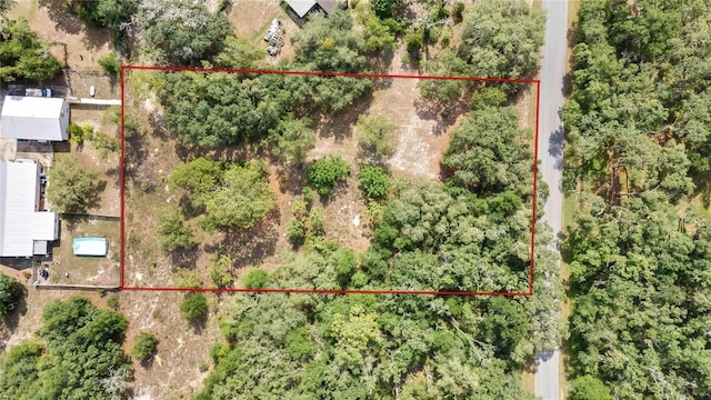 34001 Long Cir, Webster, FL 33597 - photo 2