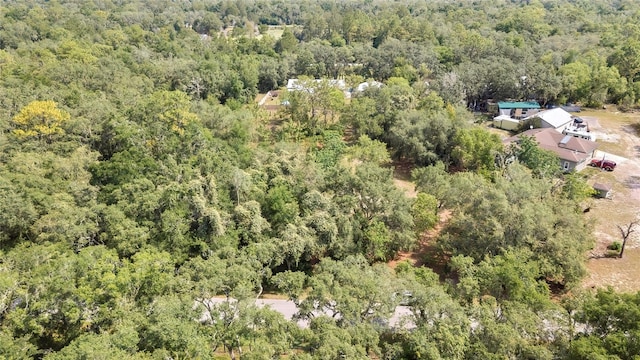 34001 Long Cir, Webster, FL 33597 - photo 5