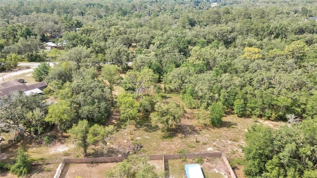 34001 Long Cir, Webster, FL 33597 - photo 8