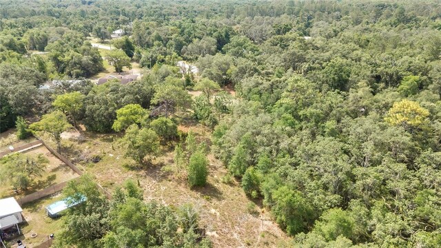 34001 Long Cir, Webster, FL 33597 - photo 9