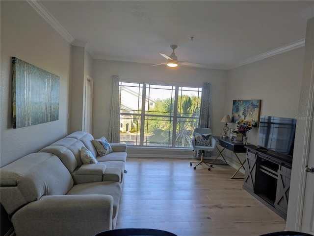 1216 S Missouri Ave Unit 223, Clearwater, FL 33756 - living area featuring ornamental molding, ceiling fan, and light wood finished floors