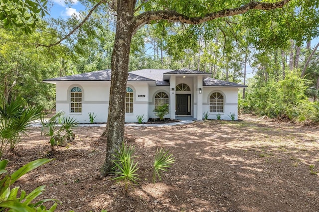 7644 Conrad St, Wesley Chapel, FL 33544 - view of front of home with stucco siding and a shingled roof