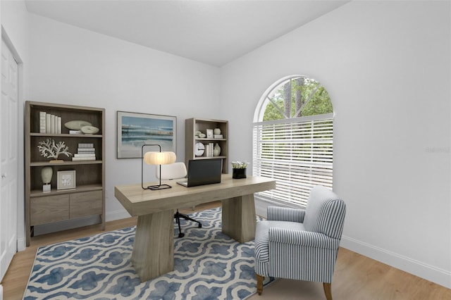 7644 Conrad St, Wesley Chapel, FL 33544 - office space featuring baseboards, wood finished floors, and lofted ceiling