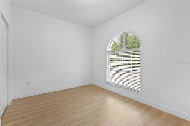 7644 Conrad St, Wesley Chapel, FL 33544 - spare room featuring light wood finished floors, baseboards, and lofted ceiling