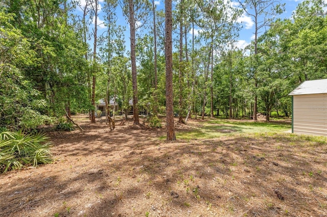 7644 Conrad St, Wesley Chapel, FL 33544 - view of yard