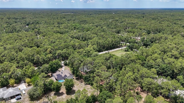 7644 Conrad St, Wesley Chapel, FL 33544 - aerial view of a forest