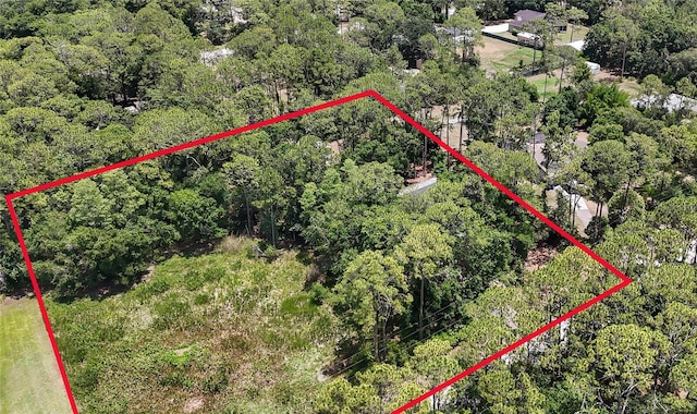 7644 Conrad St, Wesley Chapel, FL 33544 - view of property location with property parcel outlined and a forest