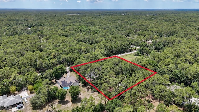 7644 Conrad St, Wesley Chapel, FL 33544 - aerial view of property and surrounding area featuring a heavily wooded area and property parcel outlined