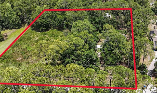 7644 Conrad St, Wesley Chapel, FL 33544 - aerial view of property's location featuring property parcel outlined and a heavily wooded area