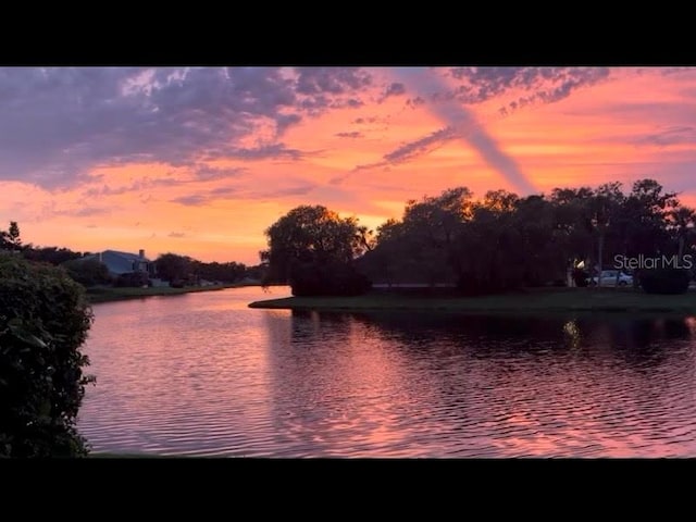 1175 San Carlos Ave NE, Saint Petersburg, FL 33702 - photo 2