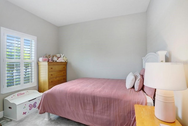 6097 Golden Nettle Dr, Apollo Beach, FL 33572 - view of carpeted bedroom