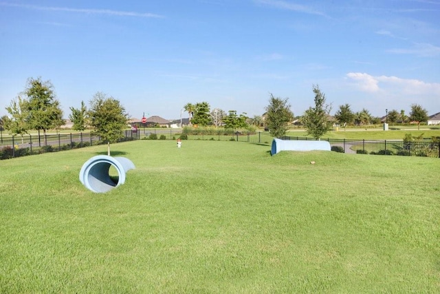 6097 Golden Nettle Dr, Apollo Beach, FL 33572 - view of yard featuring a dog friendly area