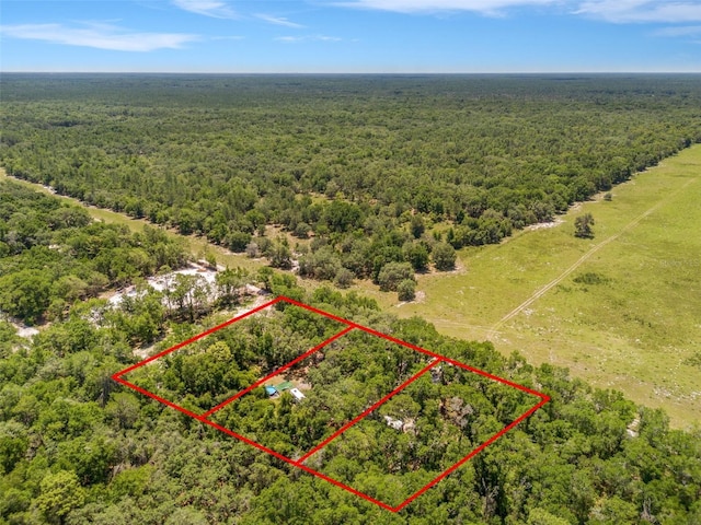 SW 160th St, Dunnellon, FL 34432