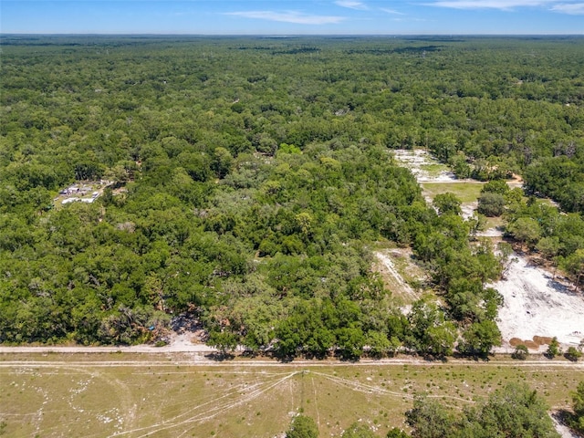 SW 160th St, Dunnellon, FL 34432