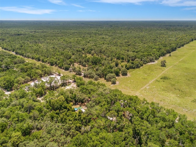 SW 160th St, Dunnellon, FL 34432
