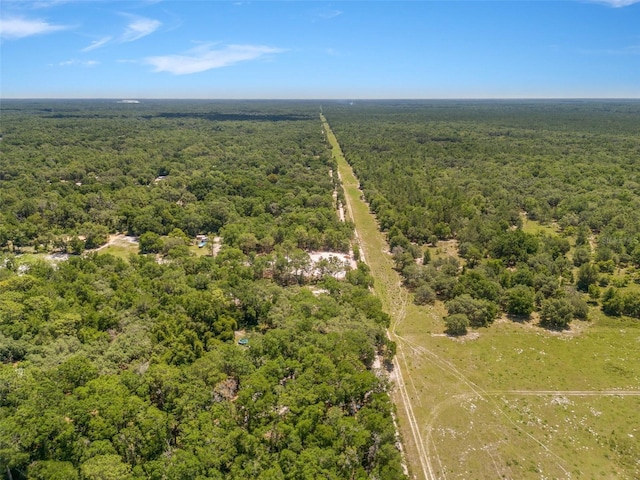 SW 160th St, Dunnellon, FL 34432