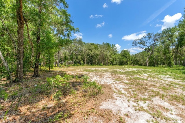 SW 160th St, Dunnellon, FL 34432