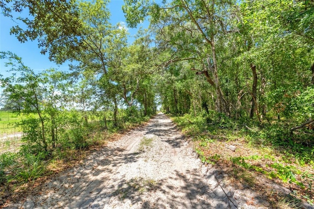 SW 160th St, Dunnellon, FL 34432