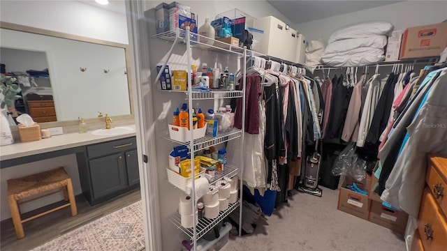 10123 Carp Hollow Rd, Sun City Center, FL 33573 - spacious closet featuring a sink