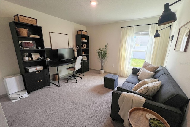 10123 Carp Hollow Rd, Sun City Center, FL 33573 - office space with light carpet and baseboards
