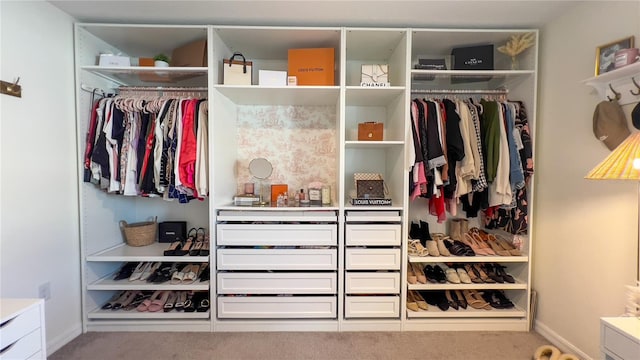 10123 Carp Hollow Rd, Sun City Center, FL 33573 - view of closet