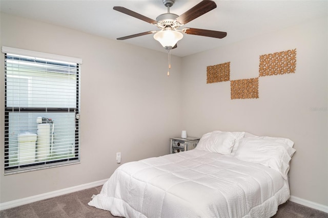 10104 Carloway Hills Dr, Wimauma, FL 33598 - carpeted bedroom featuring multiple windows, baseboards, and ceiling fan