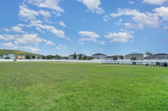 10104 Carloway Hills Dr, Wimauma, FL 33598 - view of yard