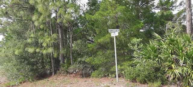 714 Camellia Dr, Indian Lake Estates, FL 33855 - photo 1