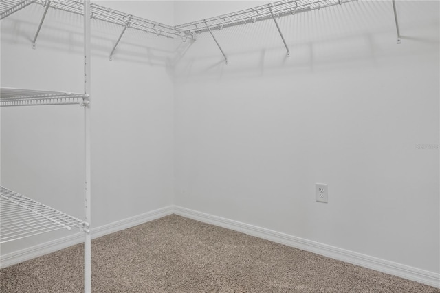 12170 Gothic Rd, Spring Hill, FL 34610 - spacious closet with carpet