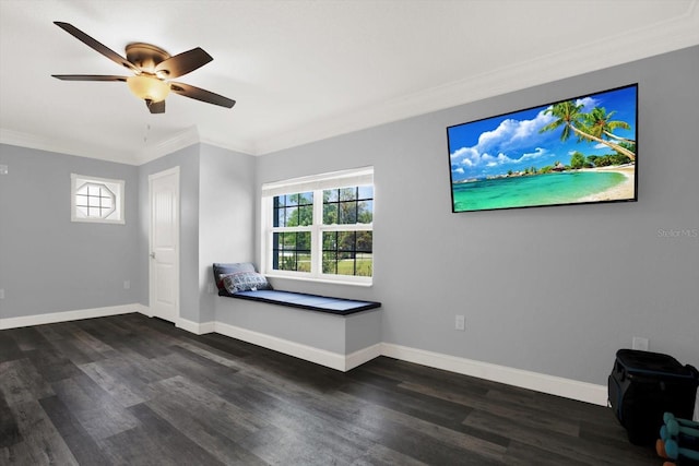 6219 Wendell Dr, Wesley Chapel, FL 33544 - photo 35