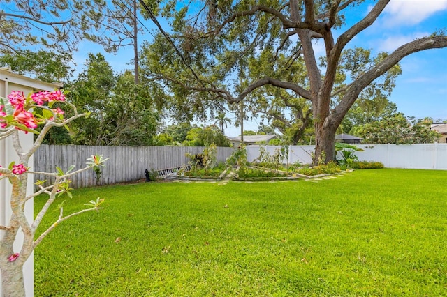 5800 3rd St S, Saint Petersburg, FL 33705 - view of fenced backyard