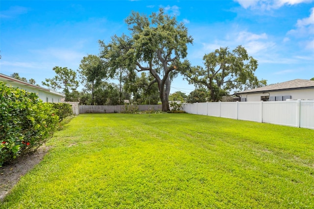 5800 3rd St S, Saint Petersburg, FL 33705 - view of fenced backyard