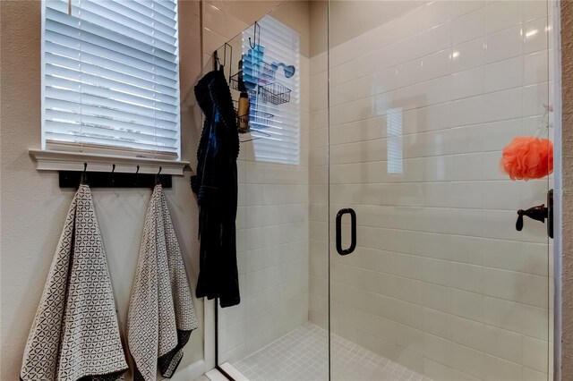 2456 Arbor Wind Dr, Lutz, FL 33558 - full bath featuring a stall shower