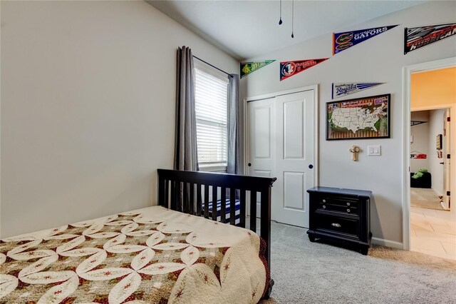 2456 Arbor Wind Dr, Lutz, FL 33558 - bedroom with a closet and carpet floors