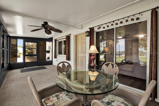 3229 40th Ln S Unit C, Saint Petersburg, FL 33711 - photo 19