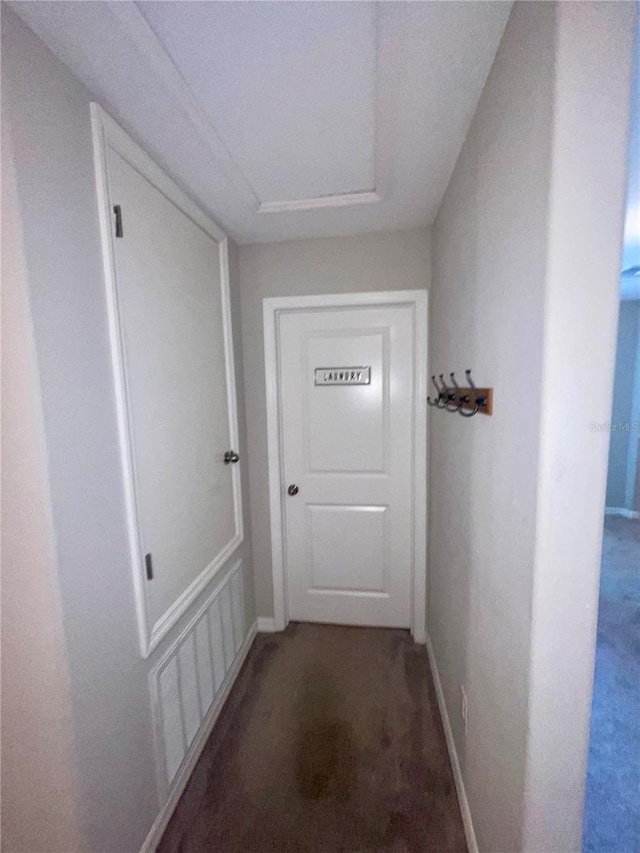 9520 Lemon Drop Loop, Sun City Center, FL 33573 - corridor with carpet