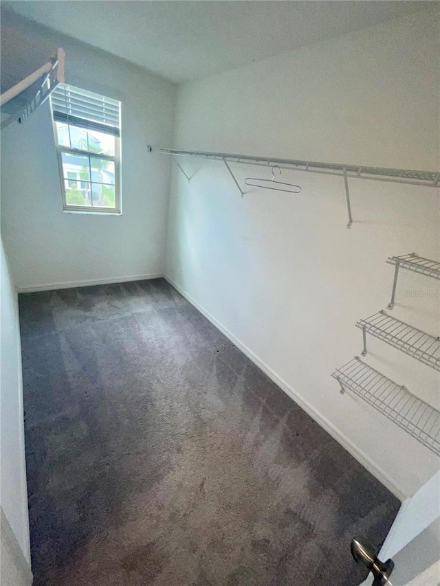 9520 Lemon Drop Loop, Sun City Center, FL 33573 - spacious closet featuring carpet flooring