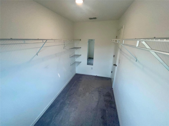 9520 Lemon Drop Loop, Sun City Center, FL 33573 - walk in closet featuring dark carpet