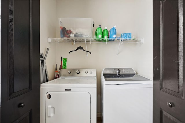 109 S Packwood Ave Unit B, Tampa, FL 33606 - photo 20