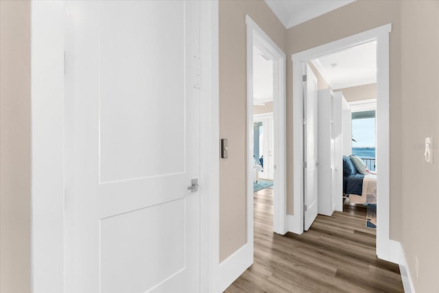 110 Carlyle Dr, Palm Harbor, FL 34683 - hall featuring wood finished floors and ornamental molding