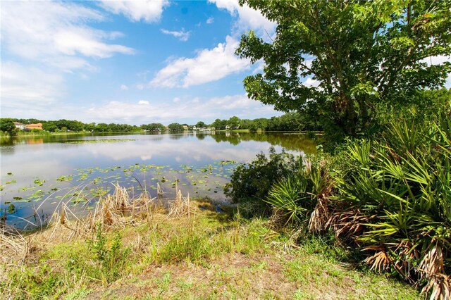 8568 Sandy Beach St, Tampa, FL 33634 - photo 4