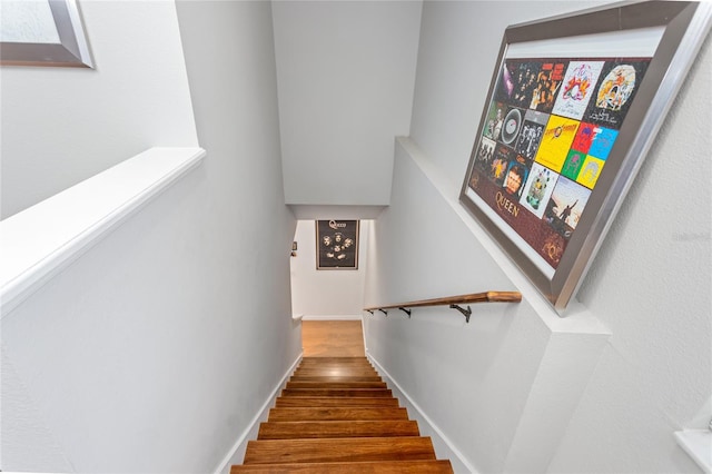 8415 Edgewater Place Blvd, Tampa, FL 33615 - staircase with wood finished floors