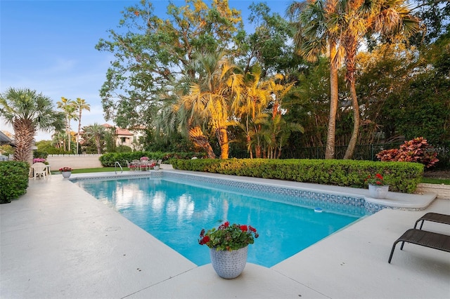 2110 Reaney Rd, Lakeland, FL 33803 - swimming pool with a patio area