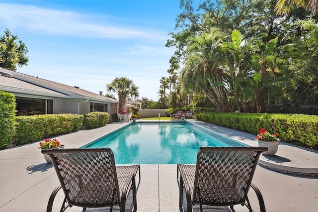 2110 Reaney Rd, Lakeland, FL 33803 - view of swimming pool featuring a patio area
