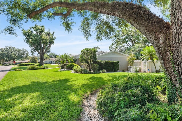 2110 Reaney Rd, Lakeland, FL 33803 - view of green lawn