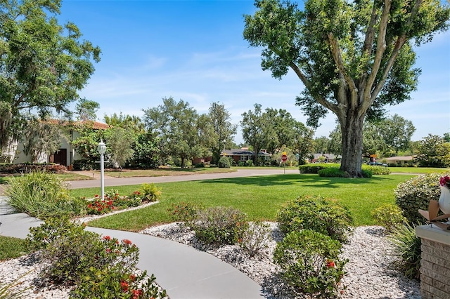 2110 Reaney Rd, Lakeland, FL 33803 - view of property's community featuring a yard