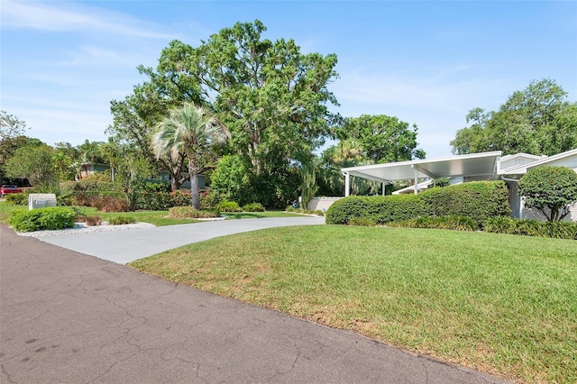 2110 Reaney Rd, Lakeland, FL 33803 - view of green lawn with concrete driveway